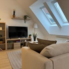 train station, 2BR, Danube, Kahlenberg, Historic - FHG 20