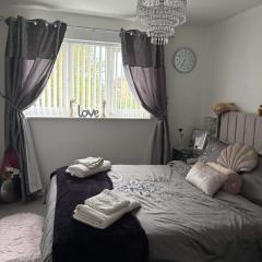 Gorgeous Sandpiper Mews