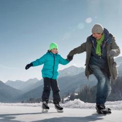 SeeHotel & SeeApartments Kärntnerhof- direkt am See!