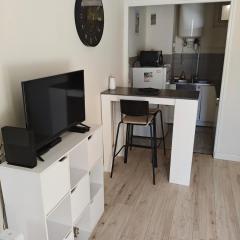 Studio climatisé à proximité des transports