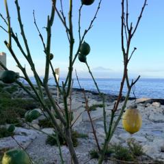 Casa Limoni al mare tra Catania Etna e Taormina