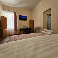 Однокімнатна квартира в центрі з міні кухнею