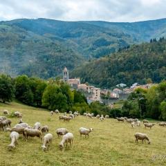 Total Peace and quiet on the top of the mountain,