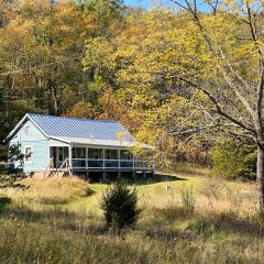Cabin on 17 acres by National Forest