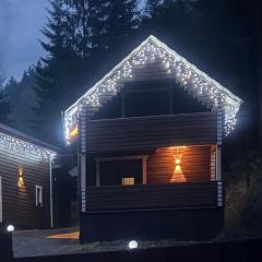 Гірська роса 2