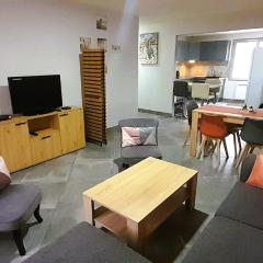 Le St Roch - appart 6-8 pers - wifi - centre ville