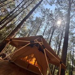 Lattitude Glamp Avandaro