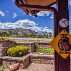 BunnyLand Lodge Panoramic Mt. Views Fantastic Backyard Patio Scenic Location in Flagstaff