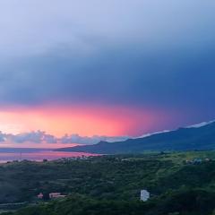 Les jardins suspendus des caraibes