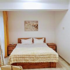 Lotus Apartment - Stunning View, Parking