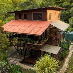 Utopia Bluff Beach Off Grid Jungle Retreat By The Sea