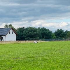 Green Hill Domyslow, 6 persons