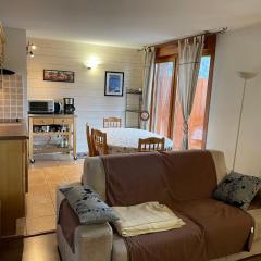 Appartement 6 pers, 38 m² au centre du Praz de Lys - FR-1-815-12