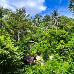 Singing Frogs Jungle Stay