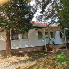 Bungalow 2 - 4-Raum-Wohnung mit Küche und 2 WC Duschen in Ohrdruf-Crawinkel