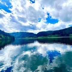 BEAUTIFUL CHALET in nature near Gerardmer!