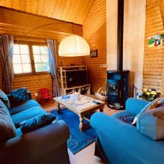 BEAUTIFUL CHALET in nature near Gerardmer!