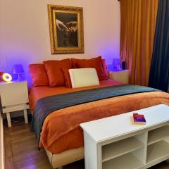 Appartement vue lac Montreux