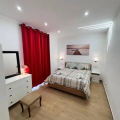 Cozy apartment near downtown