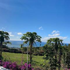 Apartment in Montagne Charlot with stunning view of the lagoon