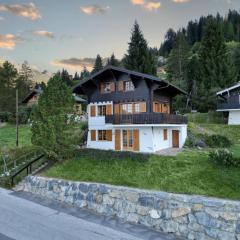 Chalet La Dame Blanche - Cosy Family Chalet - up to 8 people