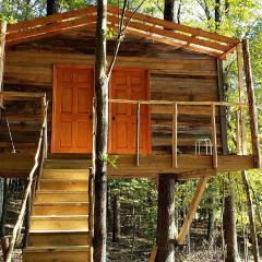 Radiant Forest Vacation Rental Haven Near Piney River, Tennessee