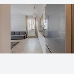 The Chronos Loft Where Timeless Design Meets Urban Pulse