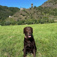 Ferienhaus Leopold mit Burgblick an der Mosel