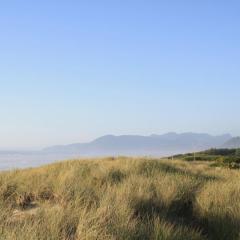 Downtown pet friendly wood cabin
