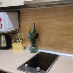 Apartment in the city centr Bursatsky descent