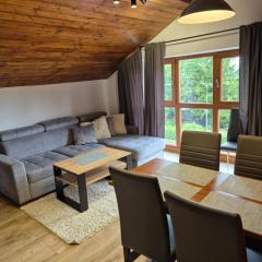 Apartamenty Górski Zakątek Karpacz na Skalnej 46