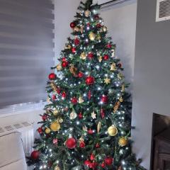 Paulos & Eva's house