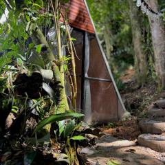 Eco Amigo el Rincón