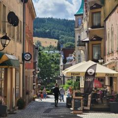 Apartament Czekoladowy Zdrój