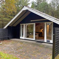 Pet Friendly Home In Oksbøl With Wifi