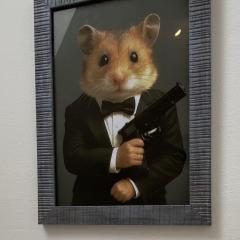 Hamster 007 Secret Hotel