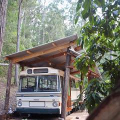 Coffee Grounds - The Coach