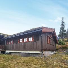 4 Bedroom Gorgeous Home In Rjukan