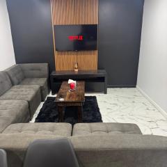 Entire Apartment near by NYC, EWR and Met Life