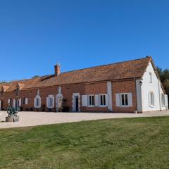 Gîte en Sologne au calme avec étang, proche d'Orléans et châteaux, idéal randonnées et pêche - FR-1-590-242