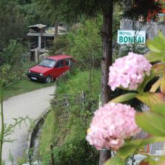 Hotel Bonsai