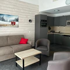 Gourette: Duplex 8 pers, proche des pistes, draps inclus - FR-1-860-9