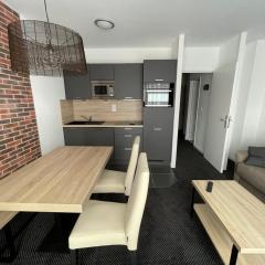 Studio Gourette 31m², 4 pers, animaux admis - FR-1-860-48