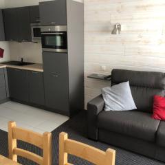 Studio 5 pers, ski, animaux admis, Gourette - FR-1-859-13