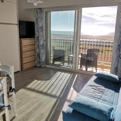 Studio vue lagune et océan, parking et animaux admis - FR-1-194-325