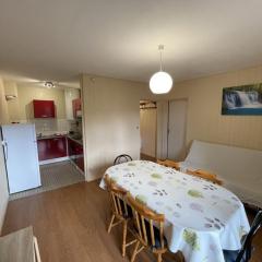 Spacieux T2 avec balcon près des pistes au Lioran - FR-1-787-134