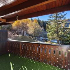 Studio coin montagne avec balcon - Pra Loup 1600 - FR-1-804-57