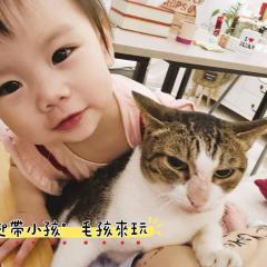 咩咩不是羊民宿Mieh's Inn 花蓮市區 電梯 寵物友善民宿