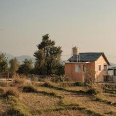 The Attic Library by AVVAs Stays