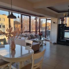 Apartment Luxury central